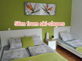 Apartments Grudnik Kranjska Gora
